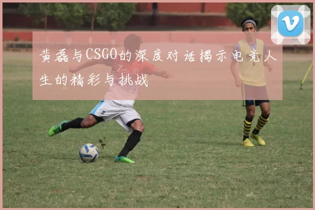 黄磊与CSGO的深度对话揭示电竞人生的精彩与挑战
