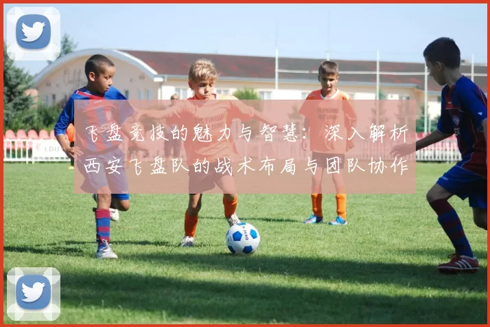 飞盘竞技的魅力与智慧：深入解析西安飞盘队的战术布局与团队协作
