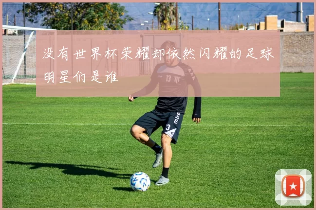 没有世界杯荣耀却依然闪耀的足球明星们是谁