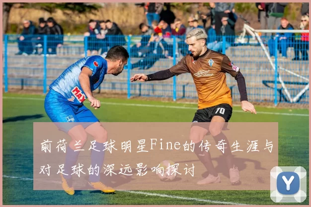 前荷兰足球明星Fine的传奇生涯与对足球的深远影响探讨