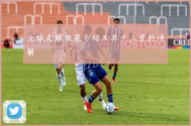 全球足球明星介绍及其个人资料详解