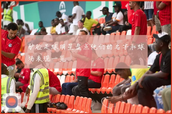驴脸足球明星盘点他们的名字和球场表现一览