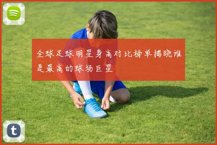 全球足球明星身高对比榜单揭晓谁是最高的球场巨星