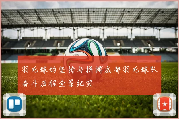 羽毛球的坚持与拼搏成都羽毛球队奋斗历程全景纪实
