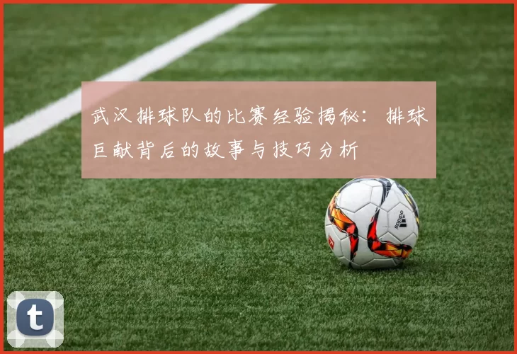 武汉排球队的比赛经验揭秘：排球巨献背后的故事与技巧分析