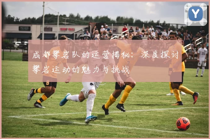 成都攀岩队的运营揭秘：深度探讨攀岩运动的魅力与挑战