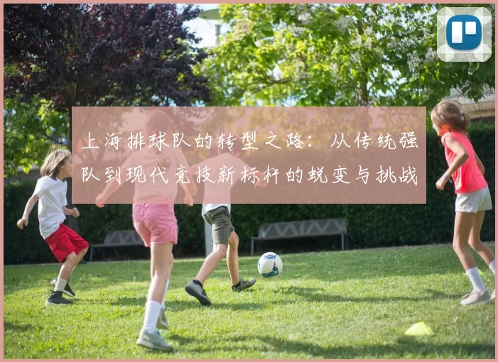 上海排球队的转型之路：从传统强队到现代竞技新标杆的蜕变与挑战