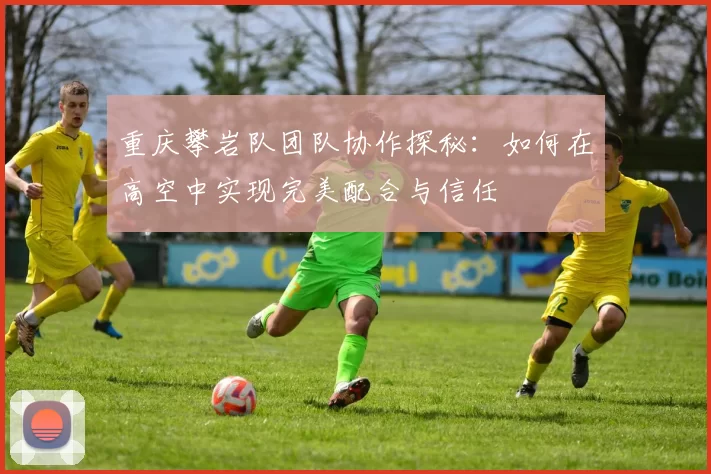 重庆攀岩队团队协作探秘：如何在高空中实现完美配合与信任
