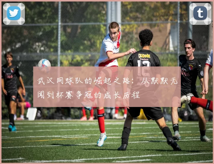 武汉网球队的崛起之路：从默默无闻到杯赛争冠的成长历程