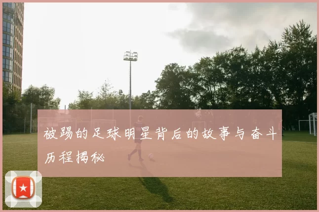 被踢的足球明星背后的故事与奋斗历程揭秘