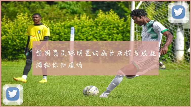崇明岛足球明星的成长历程与成就揭秘你知道吗