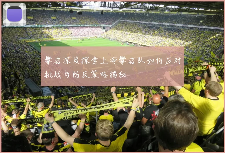 攀岩深度探索上海攀岩队如何应对挑战与防反策略揭秘