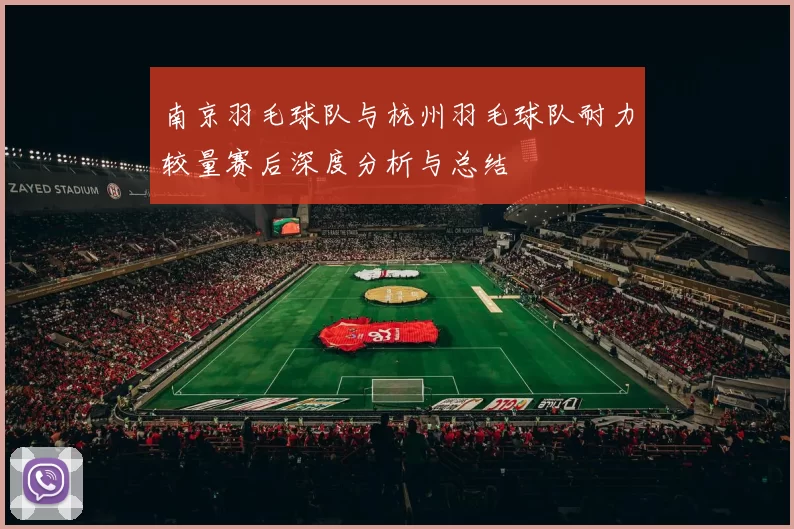南京羽毛球队与杭州羽毛球队耐力较量赛后深度分析与总结